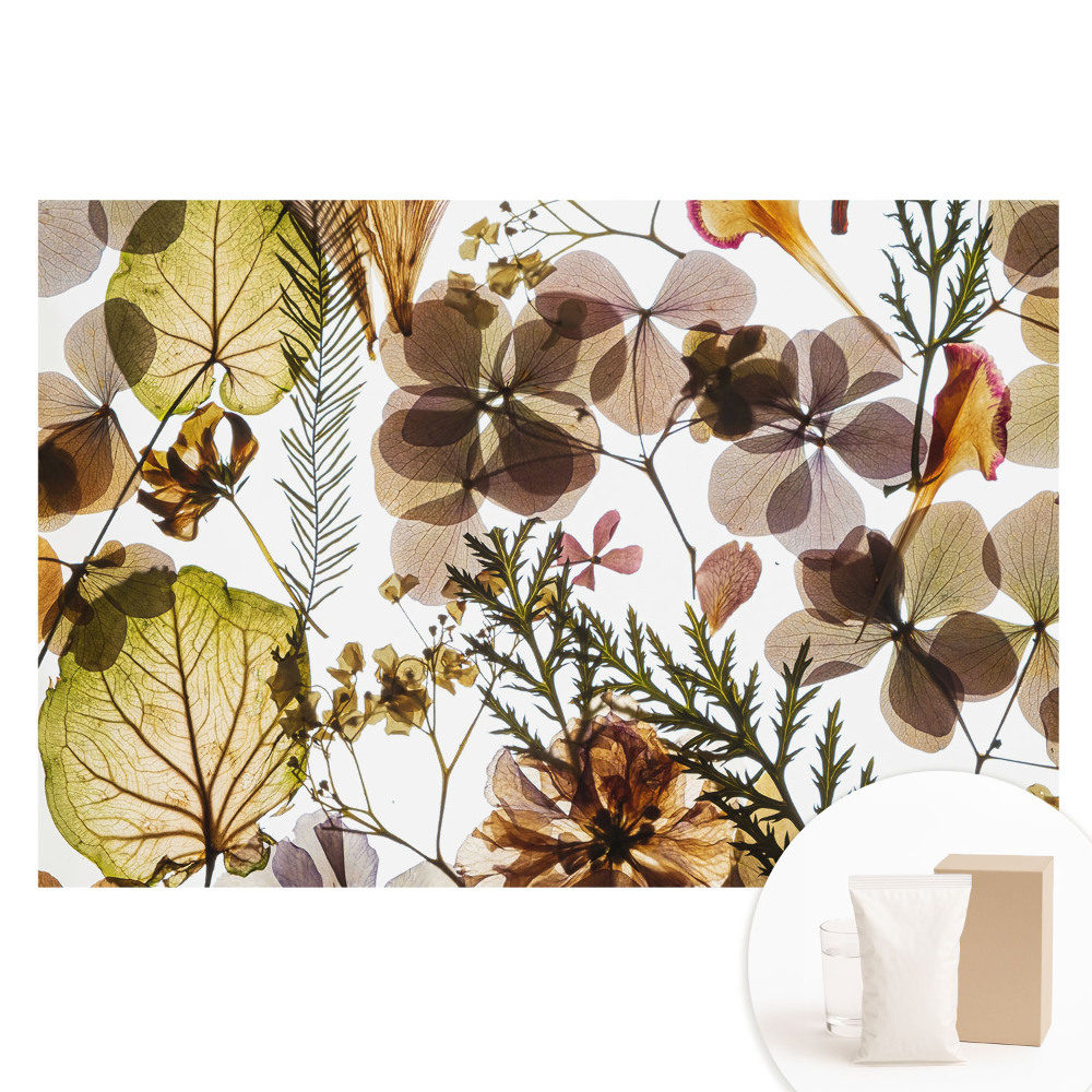 Tapeta fotograficzna na flizelinie Suszone liście i kwiaty w stylu boho