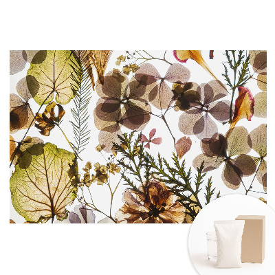 Tapeta fotograficzna na flizelinie Suszone liście i kwiaty w stylu boho