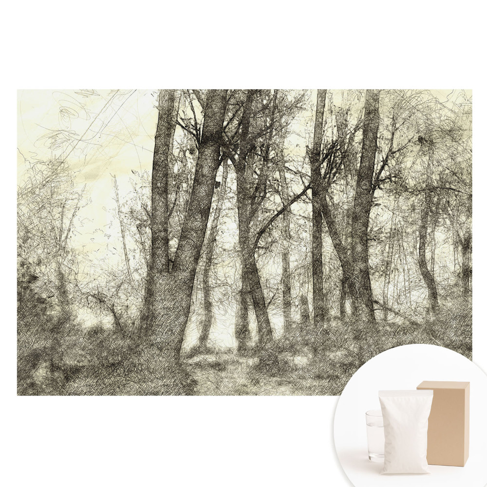 Tapeta fotograficzna flizelinowa Kreskowy las nastrojowy pejzaż