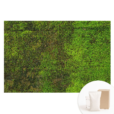 Fototapeta flizelinowa Mech tekstura organiczna