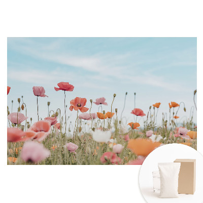 Fototapeta flizelinowa z nadrukiem Kolorowe maki na tle błękitnego nieba