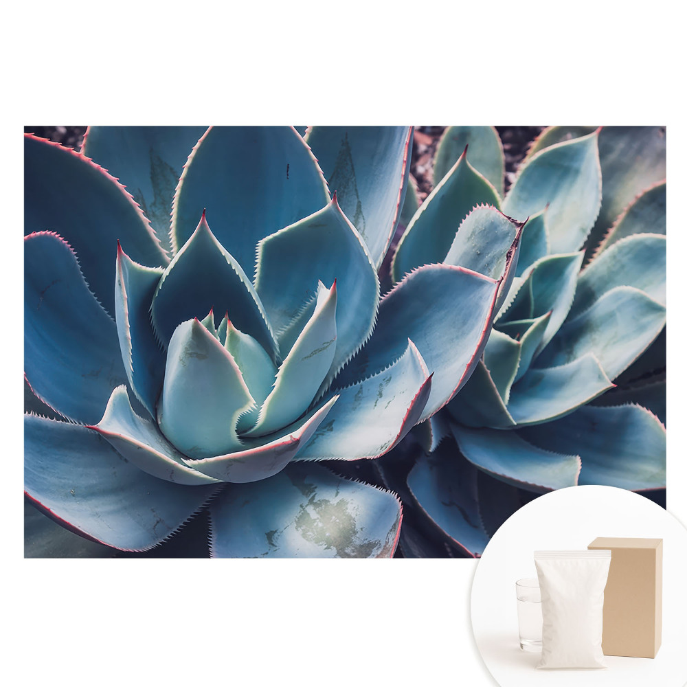 Tapeta fotograficzna flizelinowa Soczyste liście forma symetria minimalizm