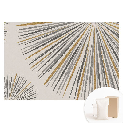 Fototapeta flizelinowa Abstrakcyjne linie wachlarzowe