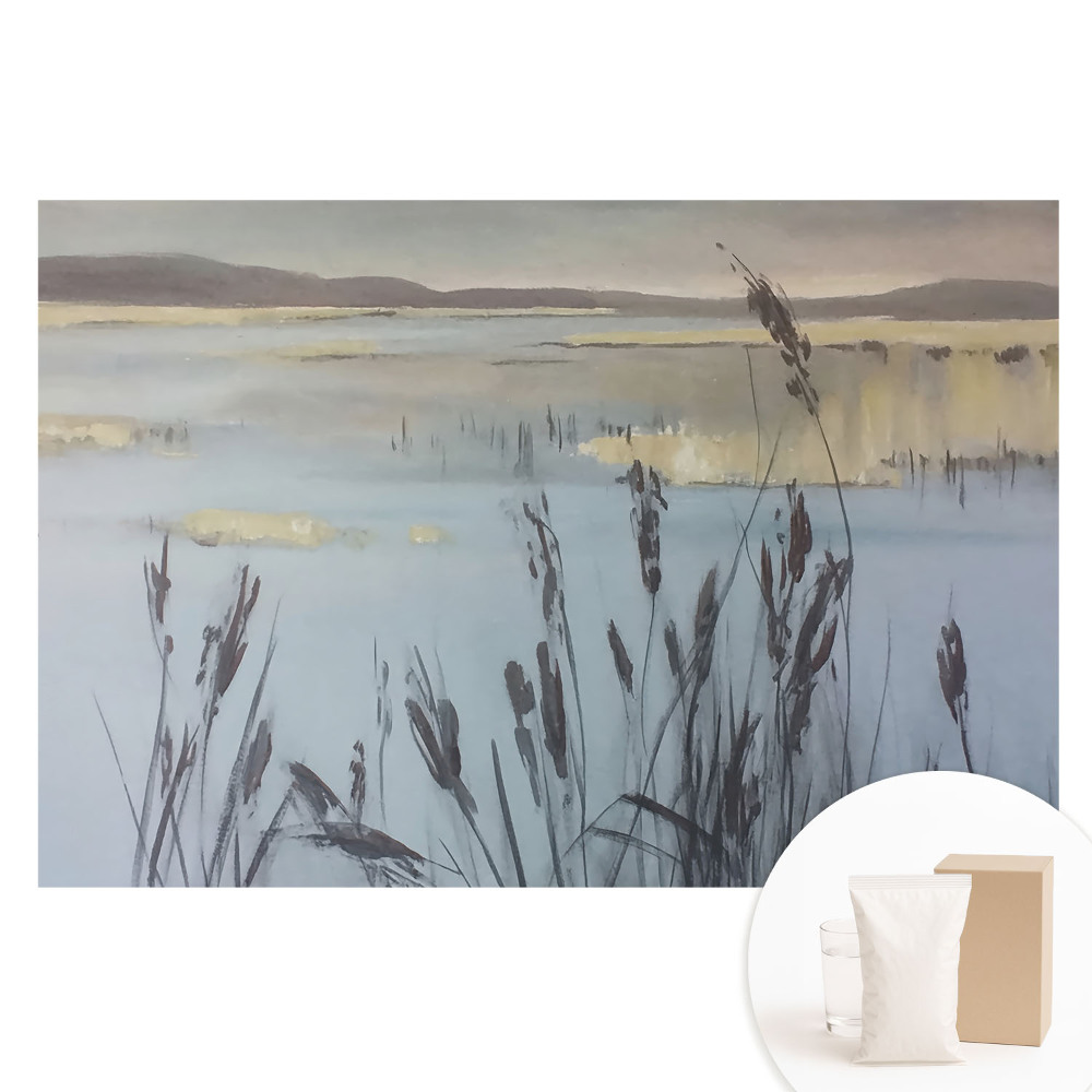 Fototapeta flizelinowa z nadrukiem Jezioro z trzcinami refleksyjna przestrzeń