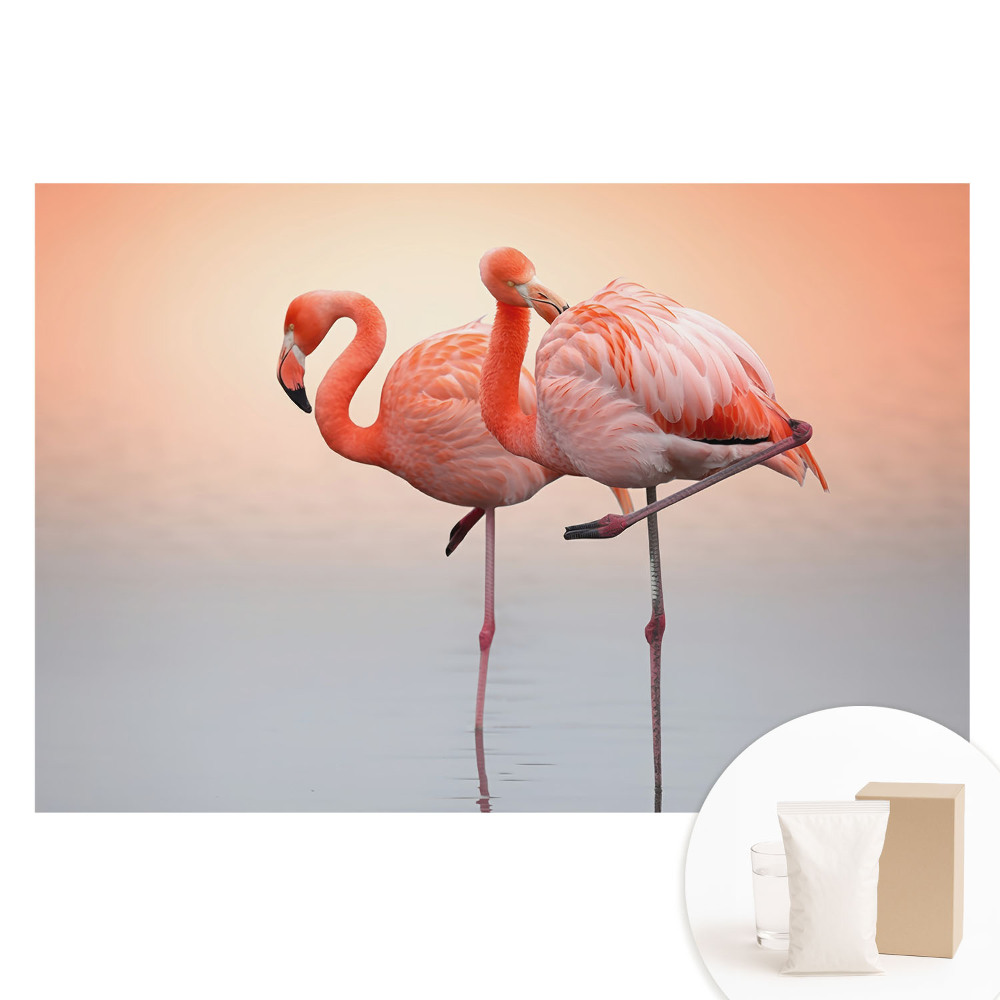 Flizelinowa fototapeta Flamingi na pastelowym tle