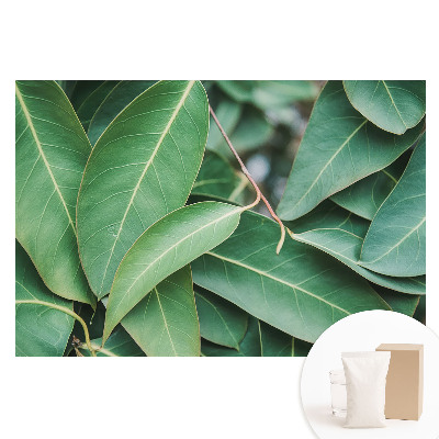 Duża fototapeta na ścianę Liście zielone styl minimalistyczny harmonia