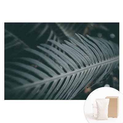 Tapeta fotograficzna na flizelinie Elegancka kompozycja liściowa