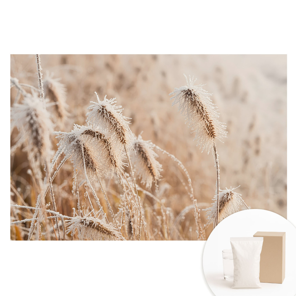 Fototapeta flizelinowa Szron na trawach zimowe piękno natura