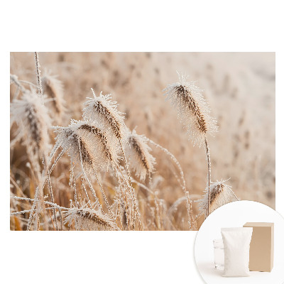 Fototapeta flizelinowa Szron na trawach zimowe piękno natura