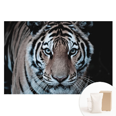 Fototapeta flizelinowa z nadrukiem Magnetyzujący tygrys dynamiczna kompozycja