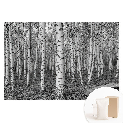 Fototapeta flizelinowa z nadrukiem Las brzozowy spokój natury harmonia
