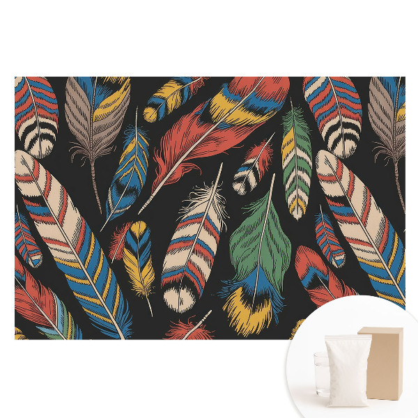 Duża fototapeta na ścianę Kolorowe pióra w stylu boho