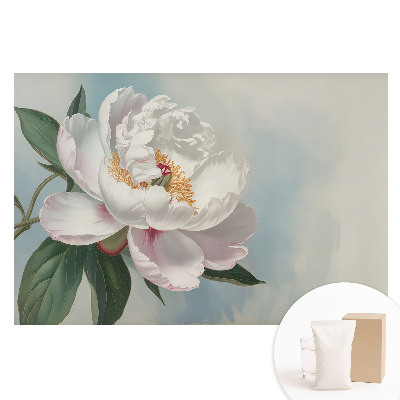 Fototapeta na flizelinie Peonia na błękitnym tle