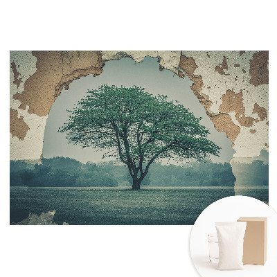 Fototapeta flizelinowa Nostalgiczny motyw drzewa na tle starej ściany