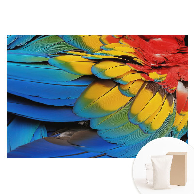 Fototapeta na flizelinie Energetyczna mozaika kolorowych piór