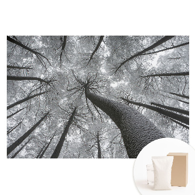 Fototapeta na flizelinie Zimowy las z perspektywy dołu