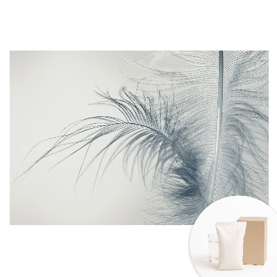 Tapeta fotograficzna flizelinowa Motyw delikatnego pióra lekkość i harmonia