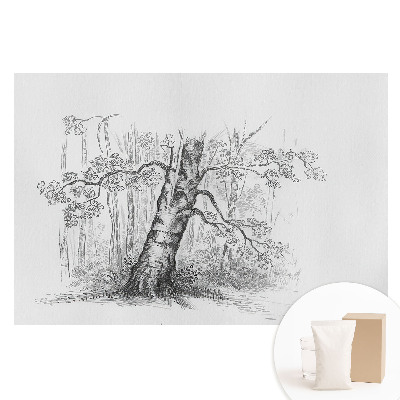 Fototapeta flizelinowa Rysunek drzewa w lesie