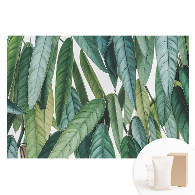 Duża fototapeta na ścianę Zielone liście minimalizm natura