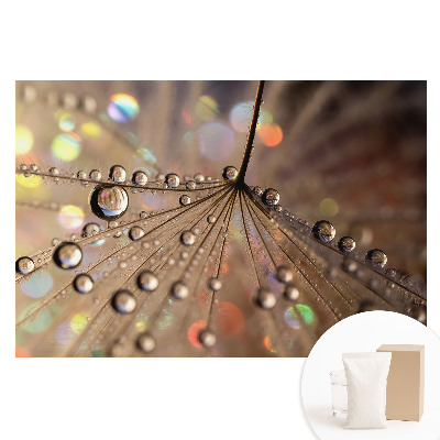 Fototapeta na flizelinie Delikatna struktura kropli rozproszonych na tle