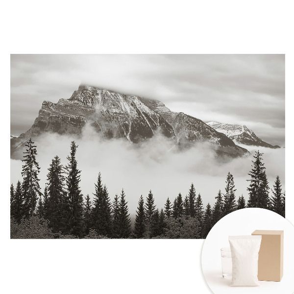 Fototapeta na flizelinie Górski krajobraz w otoczeniu mgły