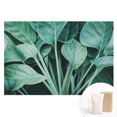 Fototapeta flizelinowa z nadrukiem Zielone liście natura harmonia