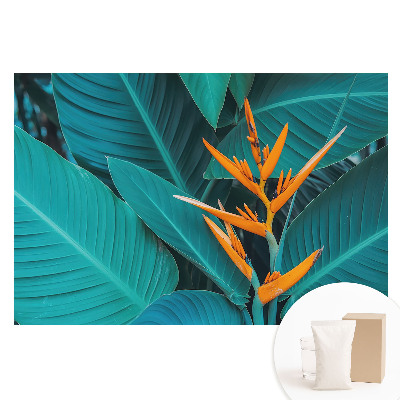 Tapeta fotograficzna na flizelinie Egzotyczny motyw roślinny