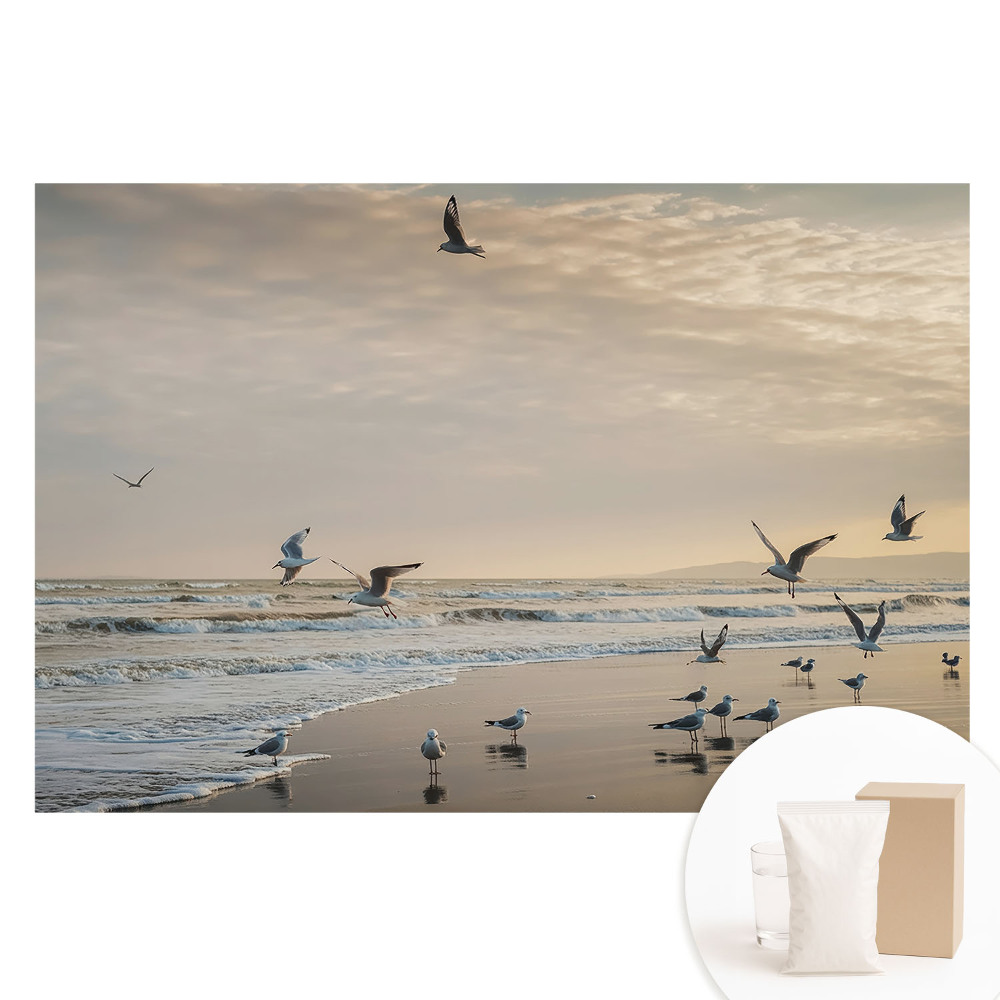 Fototapeta flizelinowa Mewy przy morskim brzegu o zachodzie słońca