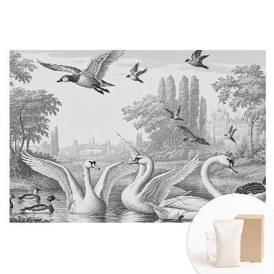 Tapeta fotograficzna na flizelinie Romantyczny pejzaż z łabędziami