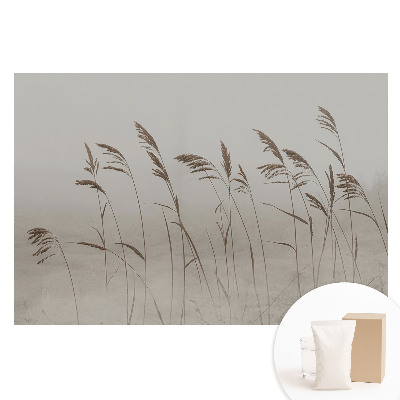 Tapeta fotograficzna na flizelinie Subtelne źdźbła traw w mgielnej aurze