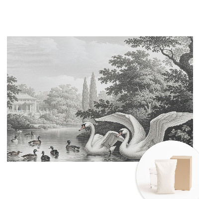 Duża fototapeta na ścianę Jeziorko z łabędziami i kaczkami w klasycznym stylu