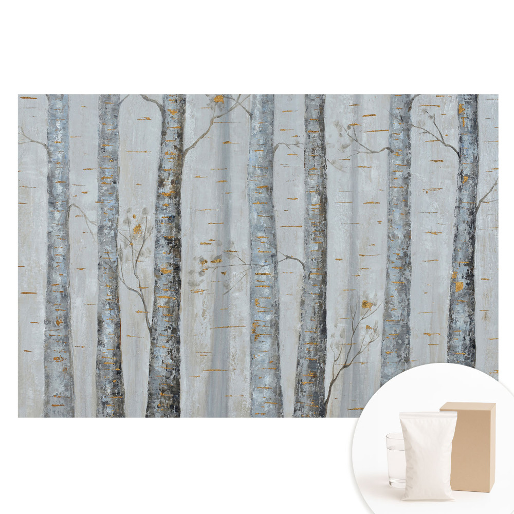 Tapeta fotograficzna na flizelinie Brzozowy las w klasycznej kompozycji