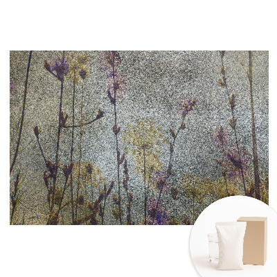 Fototapeta na flizelinie Eteryczne kwiaty polne