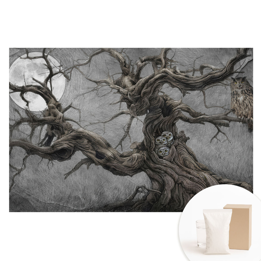 Tapeta fotograficzna flizelinowa Magiczna nocna sceneria z sowami