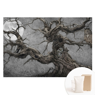 Tapeta fotograficzna flizelinowa Magiczna nocna sceneria z sowami