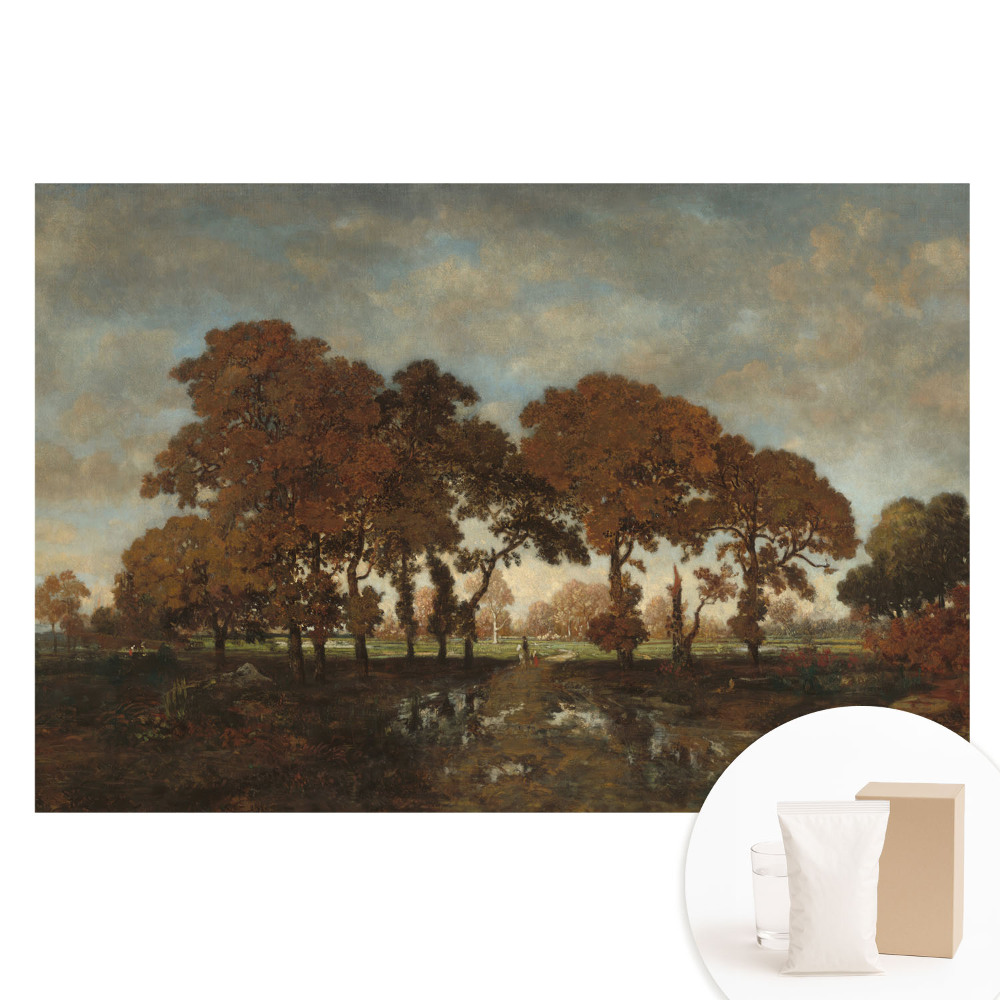 Fototapeta z nadrukiem na flizelinie Jesienne drzewa w rustykalnym krajobrazie