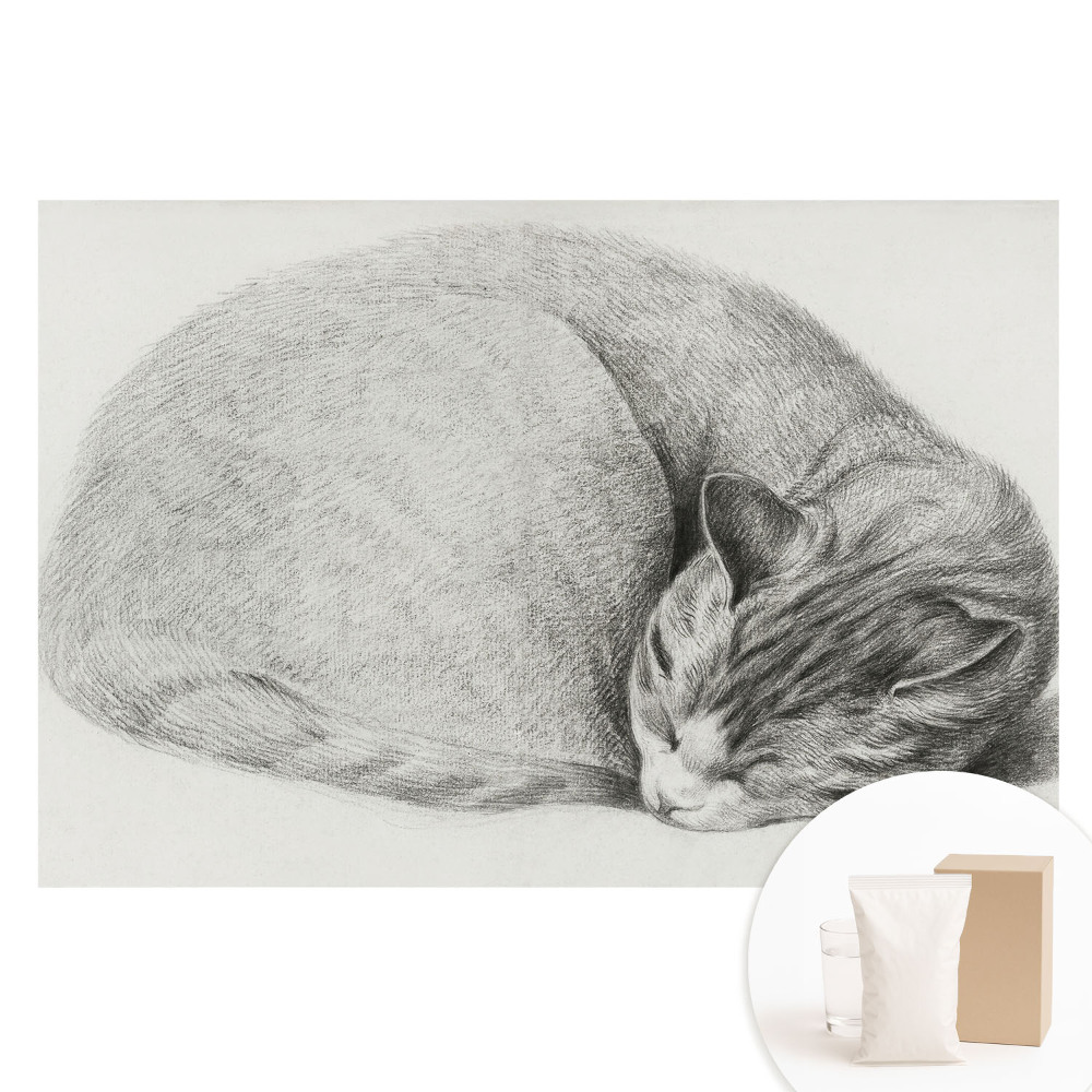 Fototapeta flizelinowa z nadrukiem Śpiący kot realistyczny rysunek