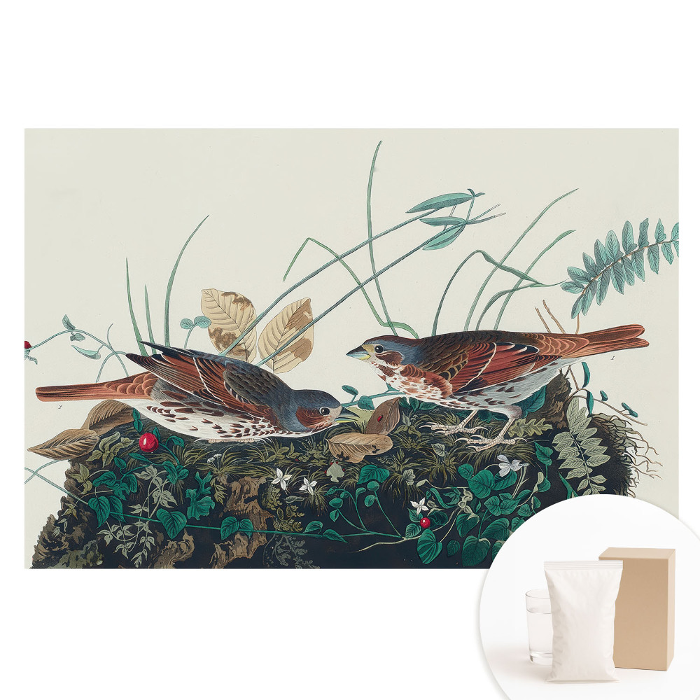 Tapeta fotograficzna na flizelinie Ptaki wśród zieleni