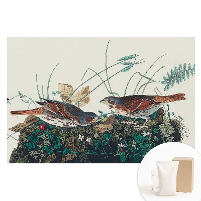 Tapeta fotograficzna na flizelinie Ptaki wśród zieleni