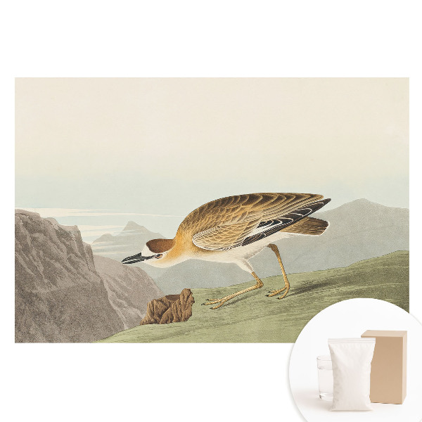 Fototapeta flizelinowa z nadrukiem Ptaszek na zboczu góry