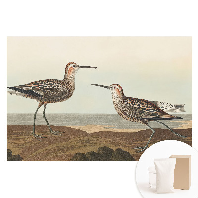 Tapeta fotograficzna na flizelinie Dwóm ptakom na morskim brzegu