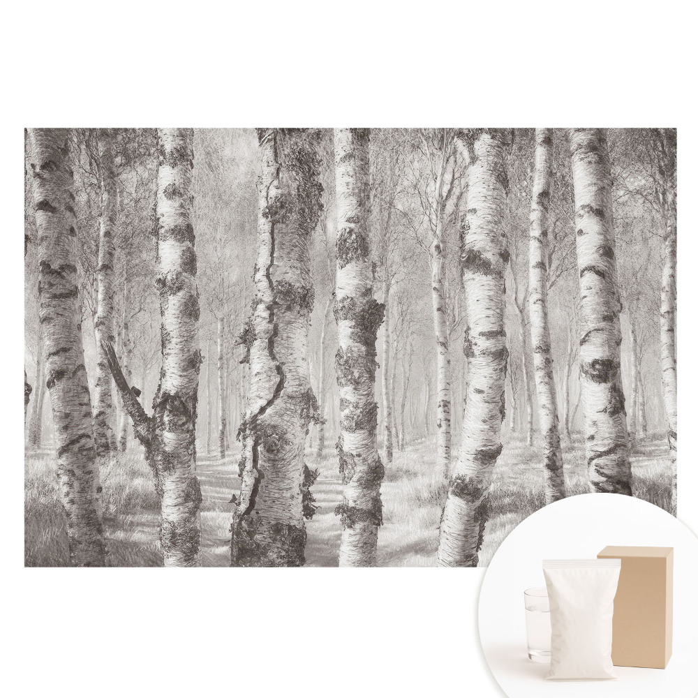 Tapeta fotograficzna flizelinowa Brzozy w klasycznym lesie