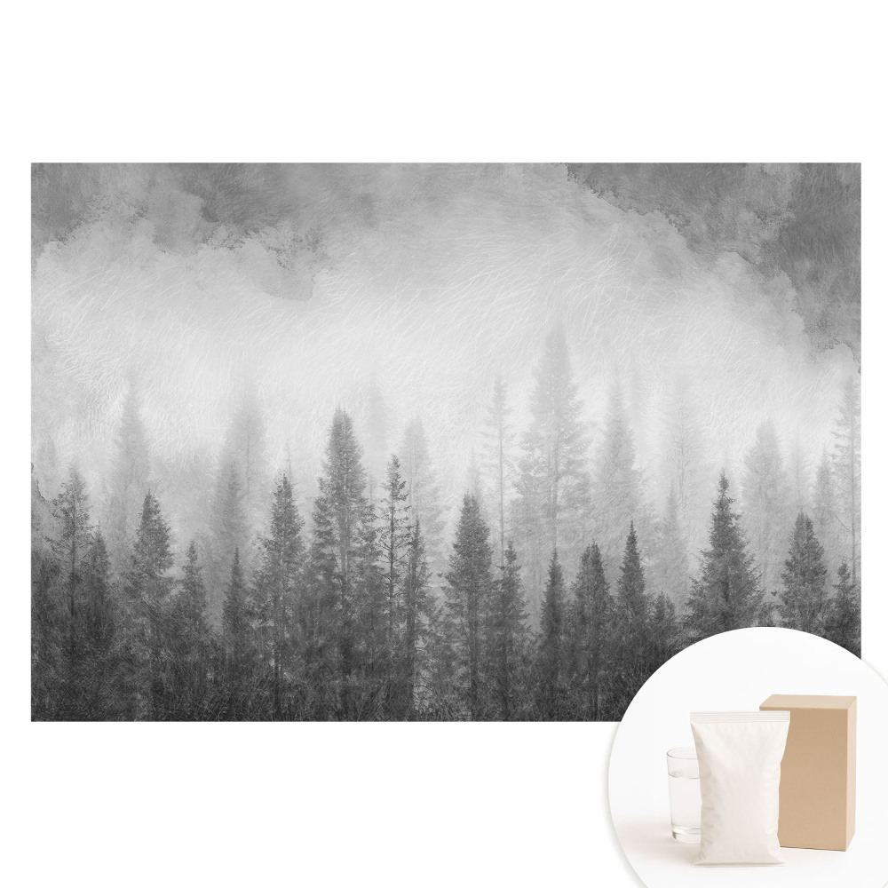 Duża fototapeta na ścianę Tajemniczy las we mgle