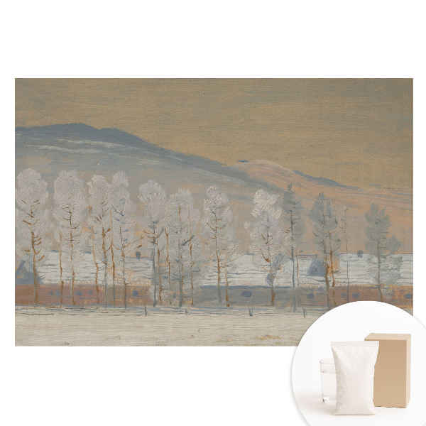 Fototapeta flizelinowa Zimowy pejzaż górski malownicze chaty