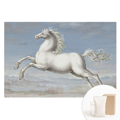 Tapeta fotograficzna flizelinowa Biały koń w dynamicznym skoku