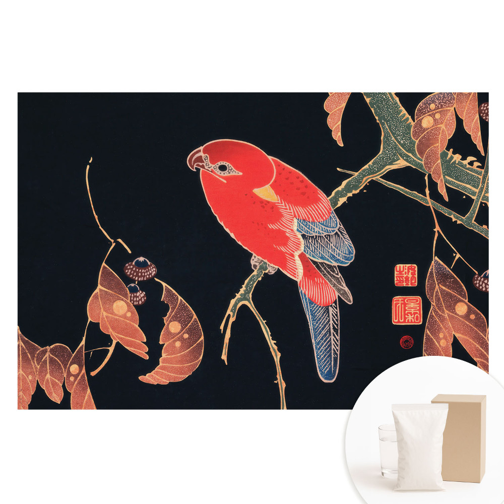 Tapeta fotograficzna na flizelinie Egzotyczna harmonia natury