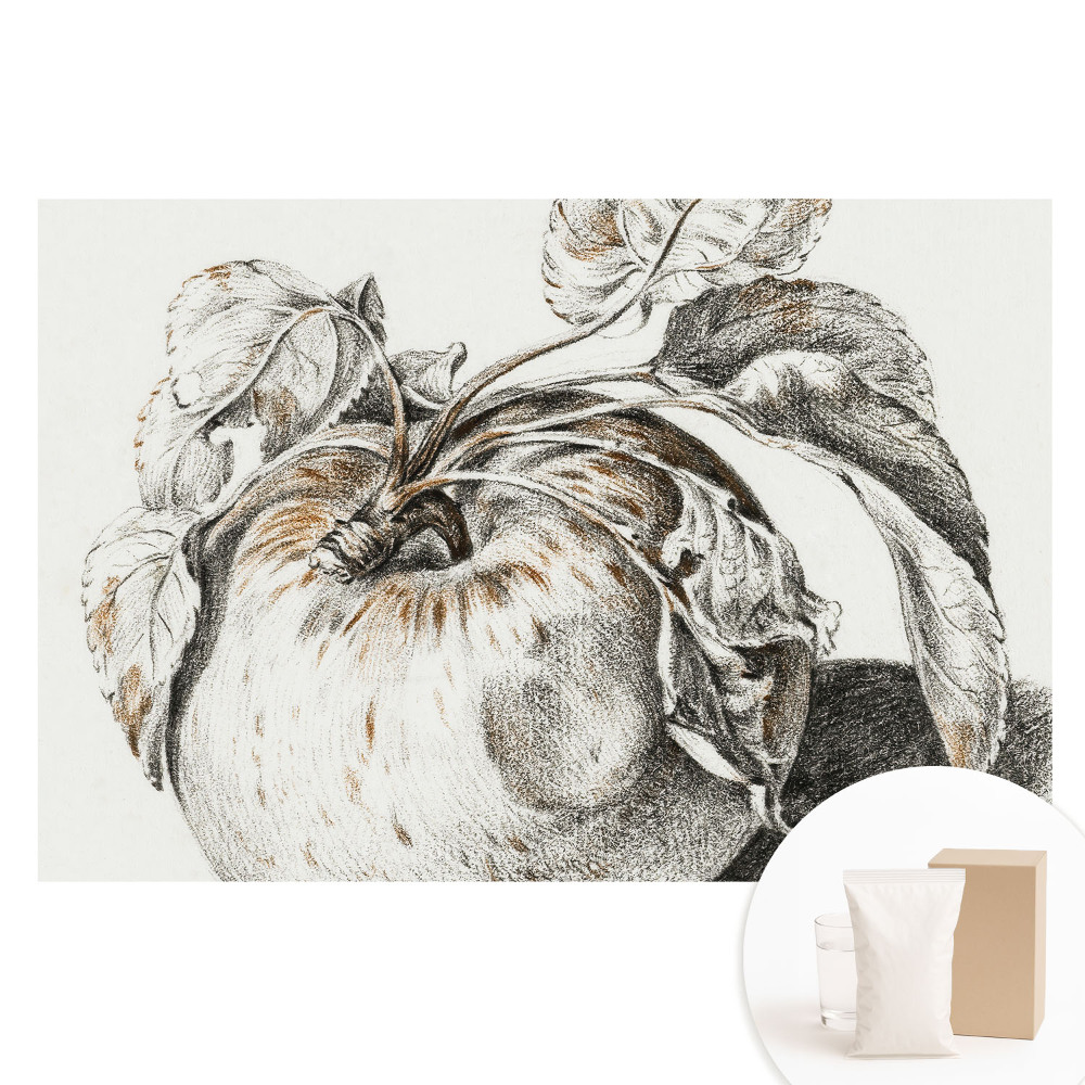 Fototapeta z nadrukiem na flizelinie Jabłko w klasycznej kompozycji