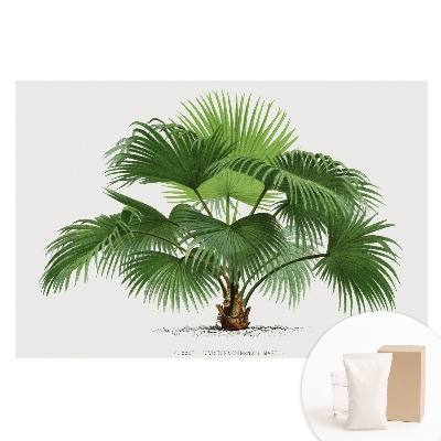 Fototapeta flizelinowa z nadrukiem Palma elegancja klasyczna