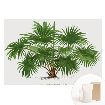 Fototapeta flizelinowa Zielona palma symetryczna kompozycja