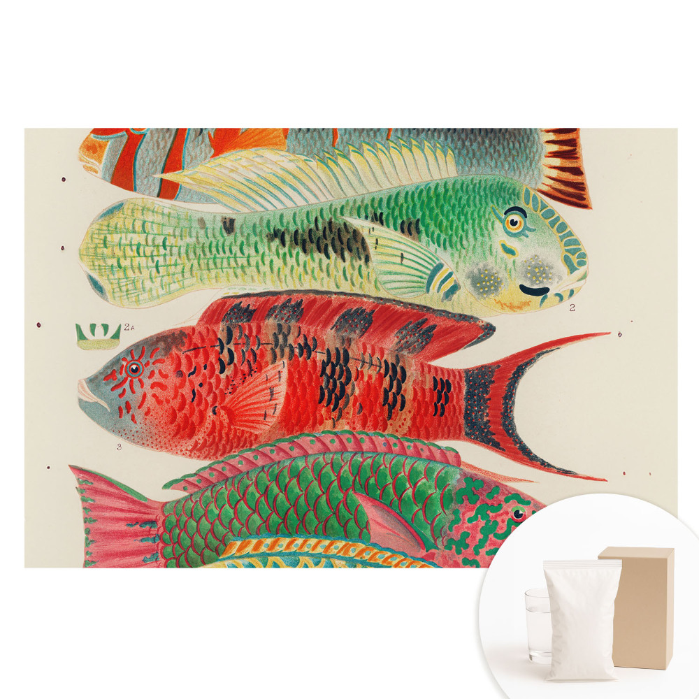 Fototapeta na flizelinie Kolorowe ryby ilustrowane klasycznie